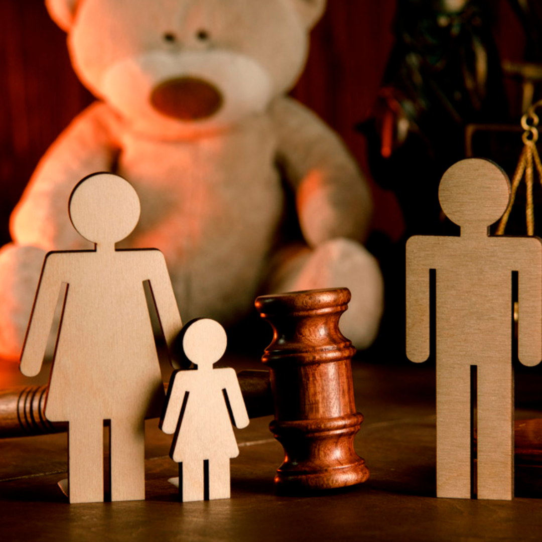 TENENCIA DE MENOR – DERECHO DE FAMILIA